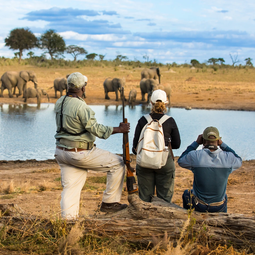 Imagen de varias personas en un safari por áfrica observando elefantes